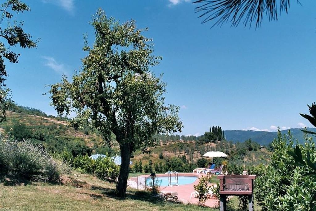 Picina
view to pool