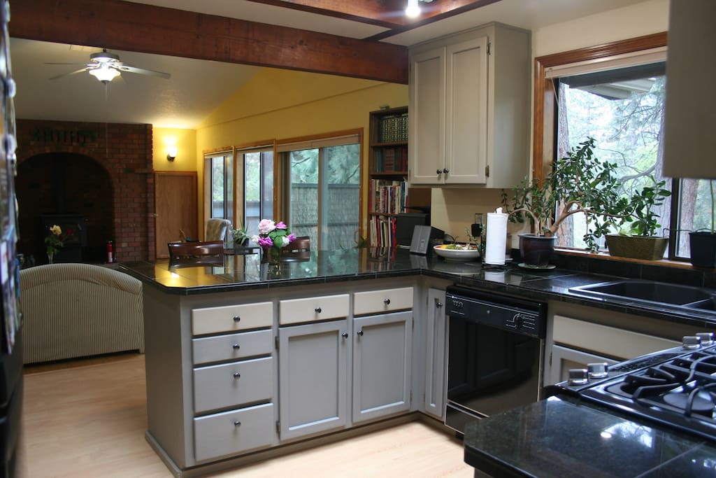 Kitchen and family/great room