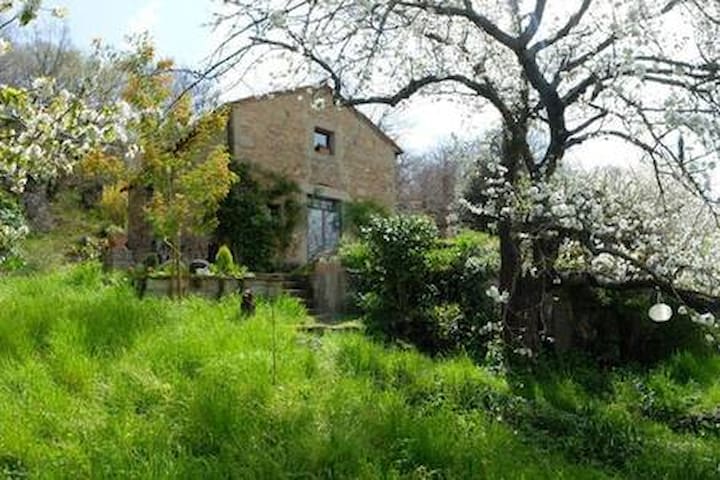 listing_image