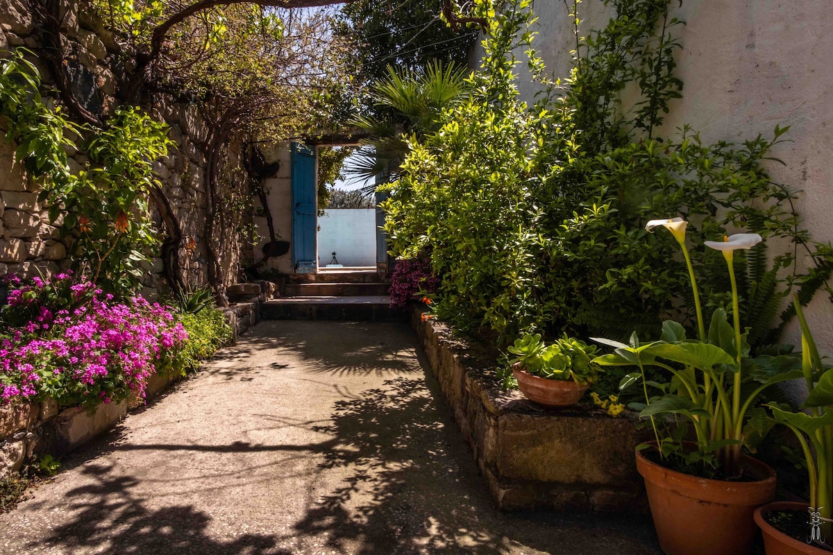 A serene garden pathway is framed by lush greenery and colorful flowers. A few potted plants add decorative touches, while a glimpse of a blue door at the end hints at an inviting entrance. Soft shadows play on the concrete surface, contributing to a tranquil ambiance.