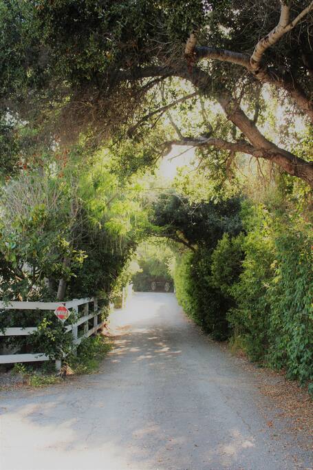 Located on a quiet private road