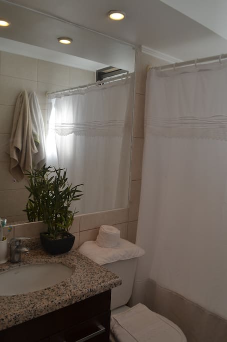 Private bathroom.