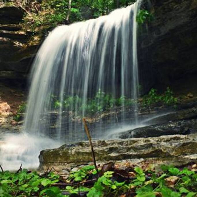 Waterfalls in the front yard