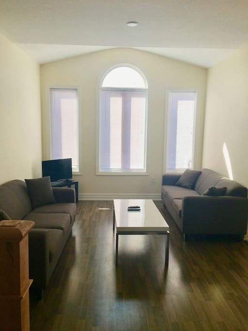 beautiful spacious living room with 2 sofas and a tv