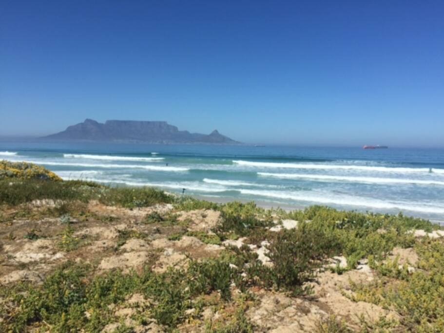 View from the Beach