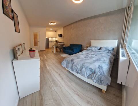 Charming new apartment near the UN & the Cern.