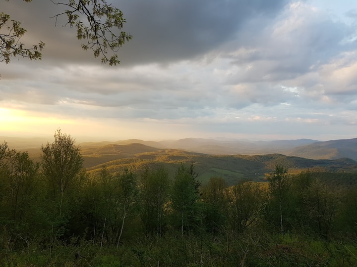 Lake Saint Catherine Cottages House and Cottage Rentals Airbnb