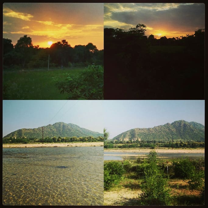 Nature at its best.