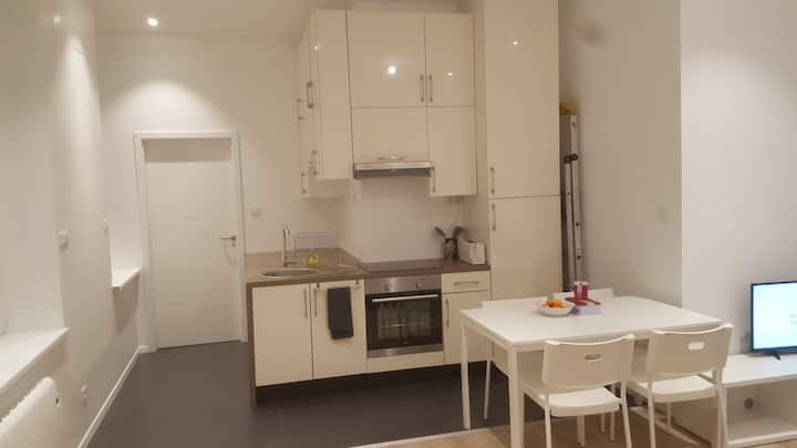 Loft-appartement De 41 M² Proche Du Centre Ville - Schiltigheim