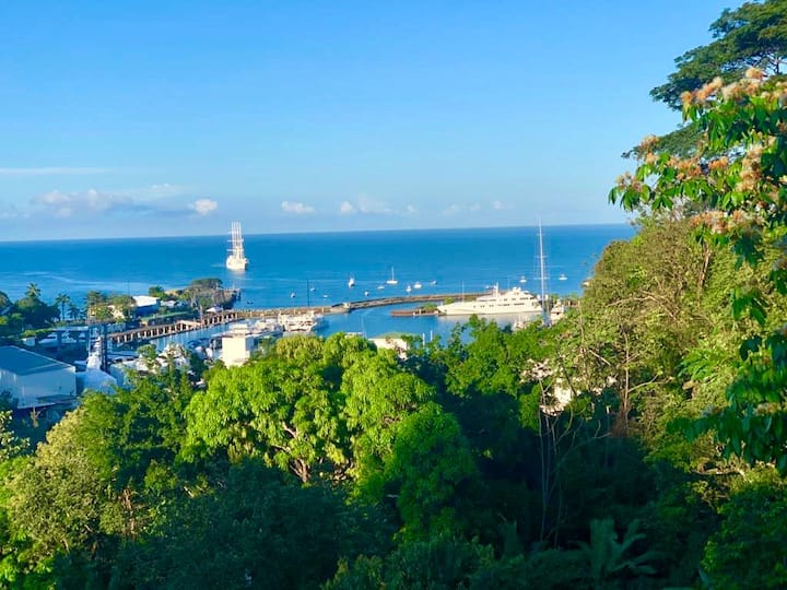 La Vista 2 bedroom Ocean Views Apartments for Rent in Quepos