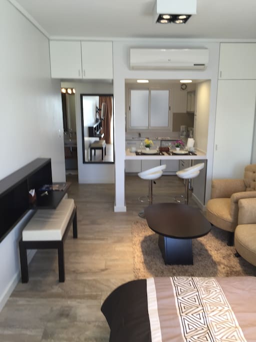 Modern Studio Apartment