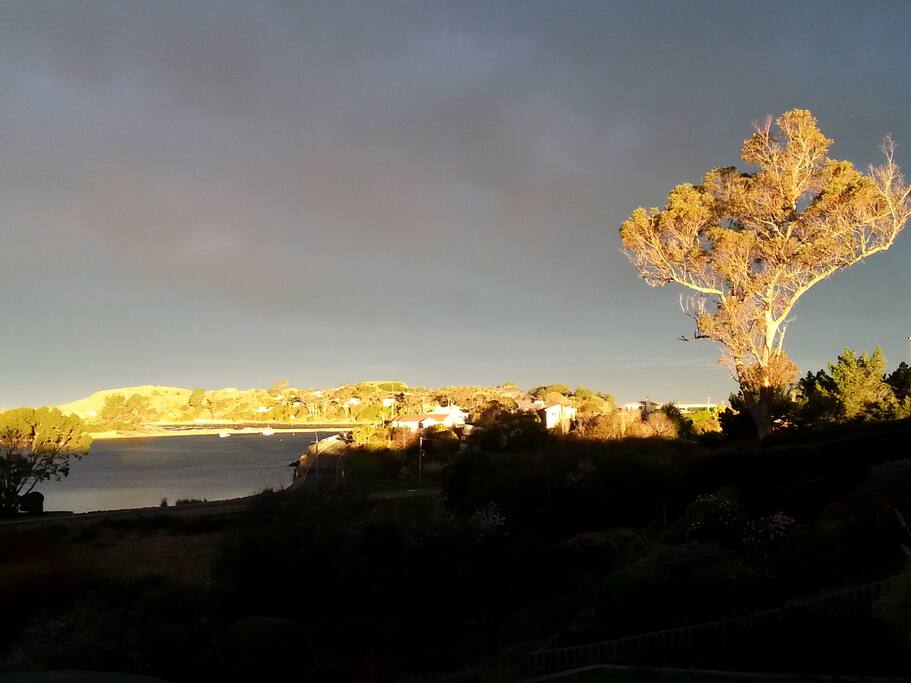 Beautiful evening light.