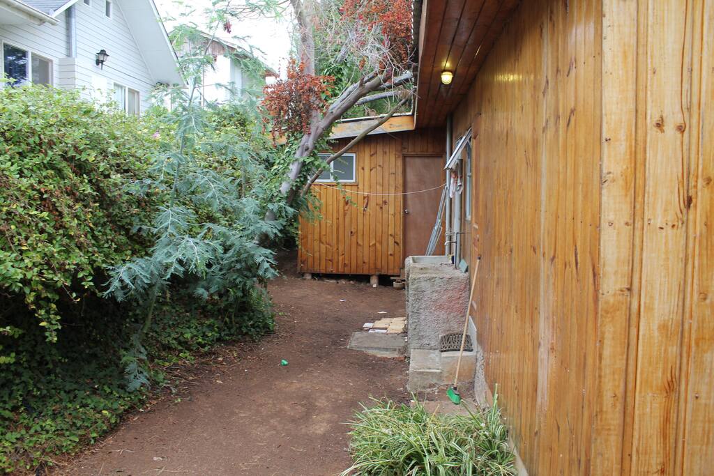 patio trasero