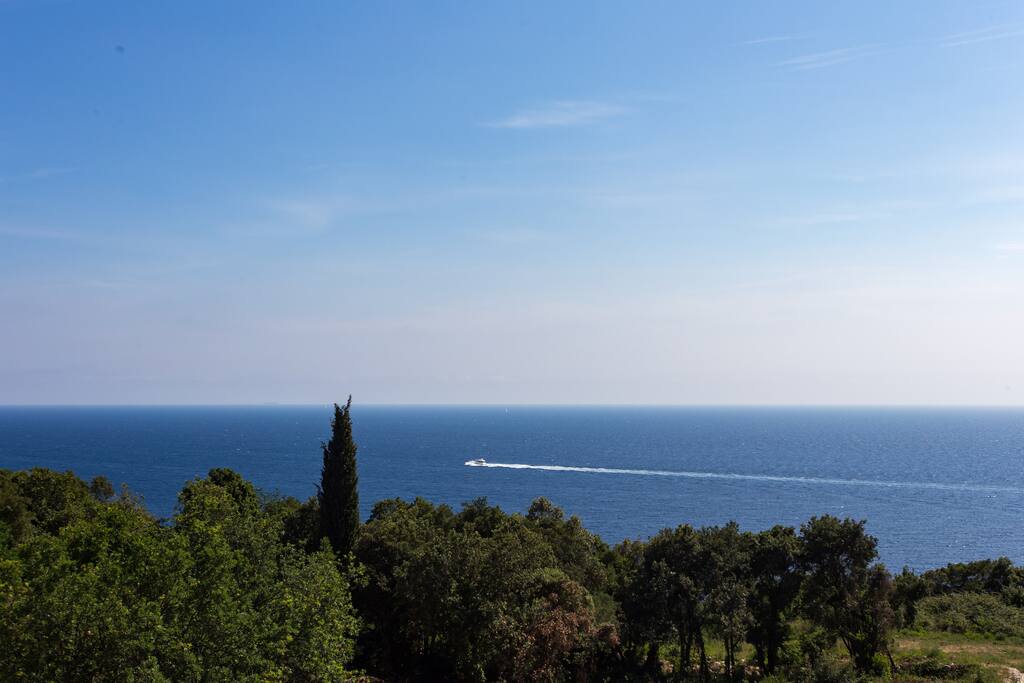 View