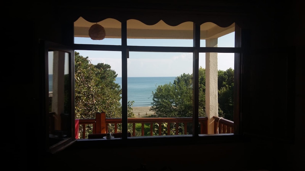 A scenic view of the coastline is framed by large wooden windows. The calm sea is visible in the distance, with trees adorning the foreground. Soft light brightens the indoor space, creating an inviting atmosphere that emphasizes the natural beauty outside.