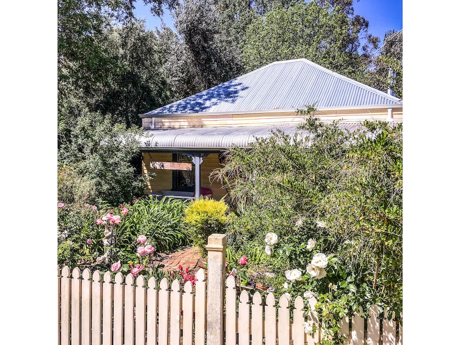 Tangle Tree Cottage