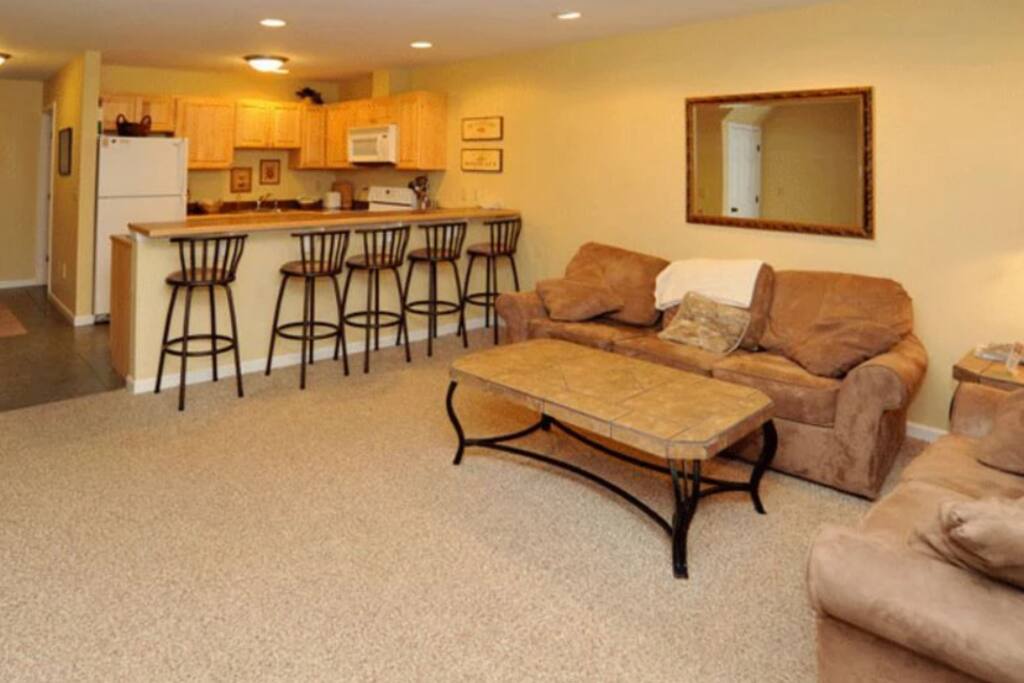 Living and Kitchenette