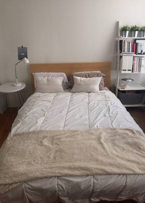 Queen size bed & lot's of light!