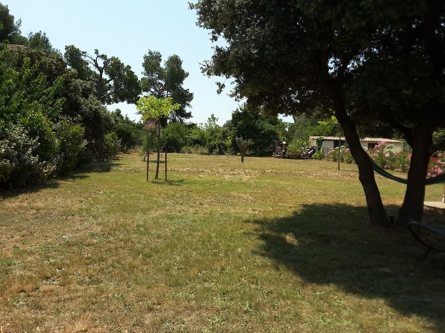 Jardin