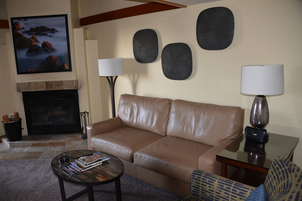 Living room with sofa bed.
