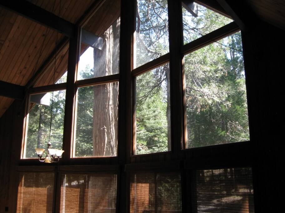 Prow Front Windows