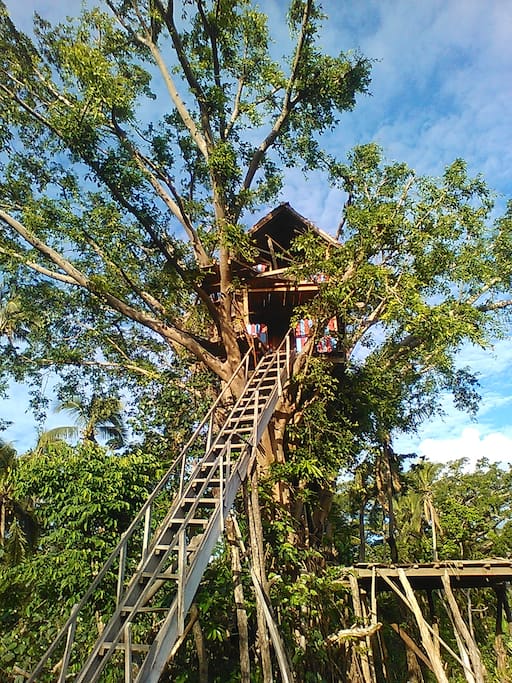 Our tree top house - 12 meters high