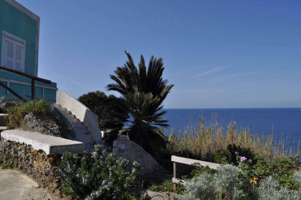 Panorama