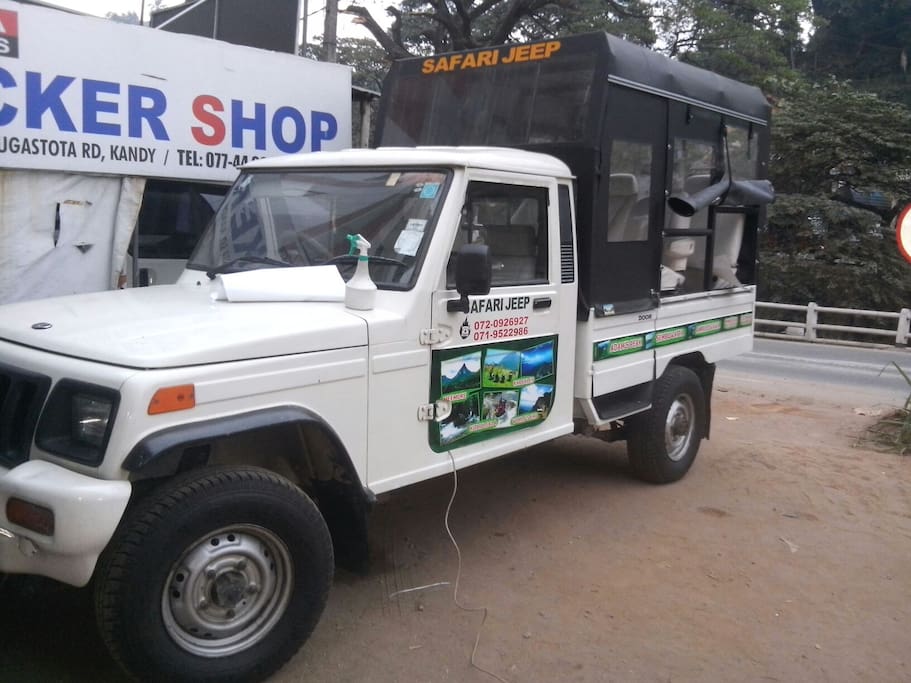Go safari in kandy