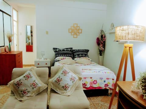 1° Piso Centro Historico 10 guests + Cochera