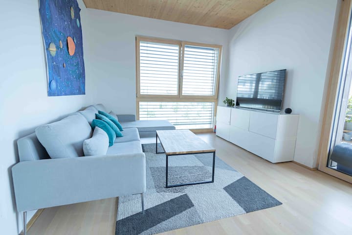 New 2 bd Apartment on the park with balcony