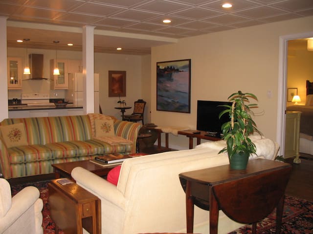 Luxury Modern 1BD Apartment
