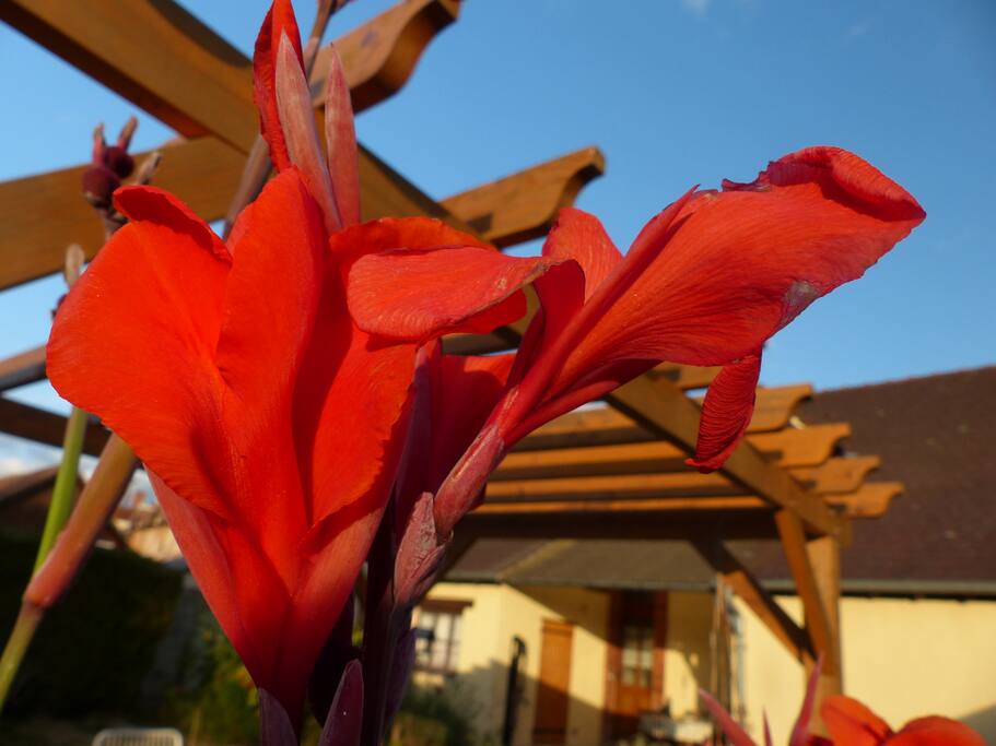 Jardin