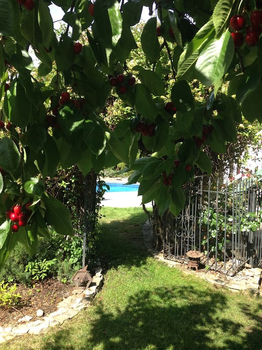 Entry to pool area from the front yard