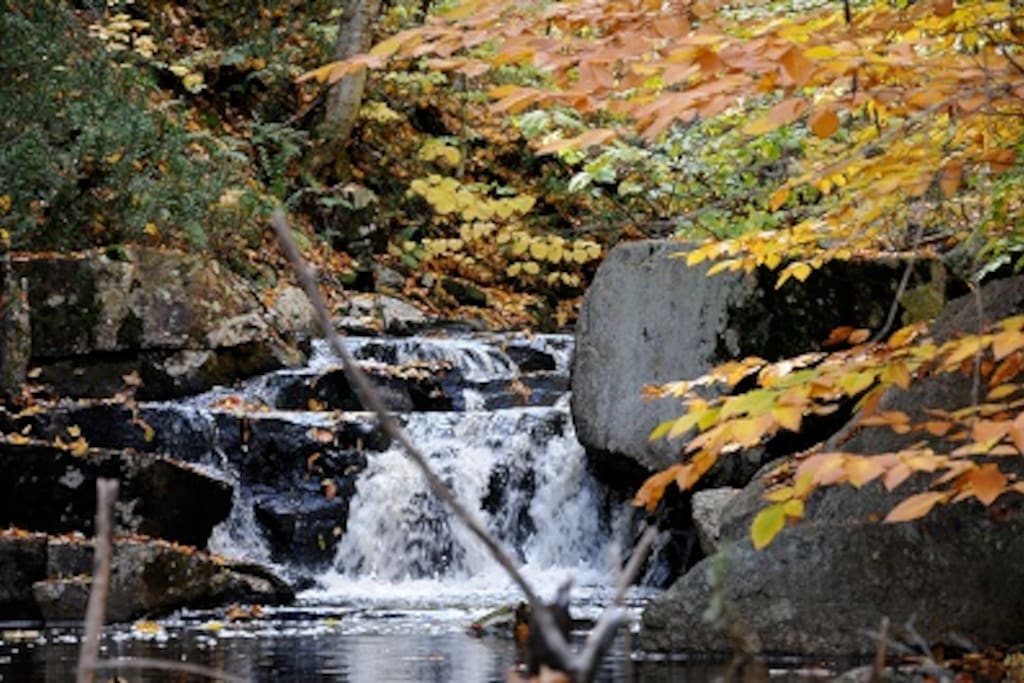 La cascade en automne