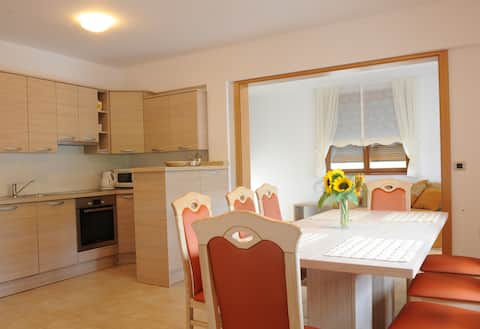 Spacious apartment with Terrace on the farm