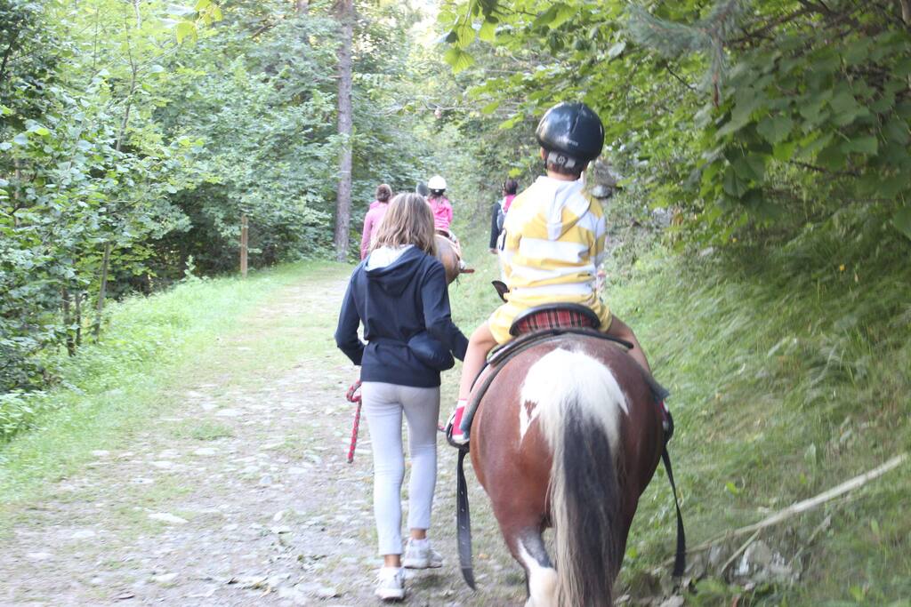 passeggiate a cavallo in Antey