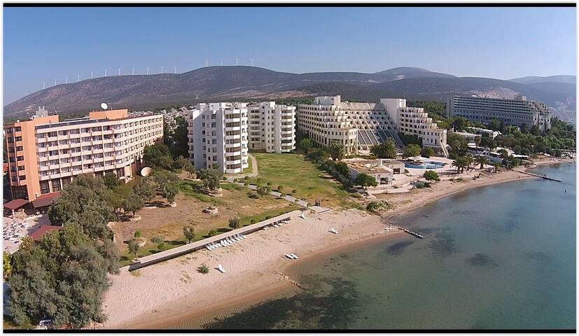 Entire seafront beach apartment