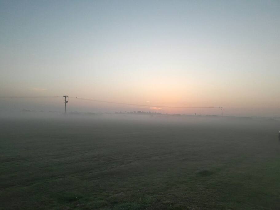 the morning dew...sunrise