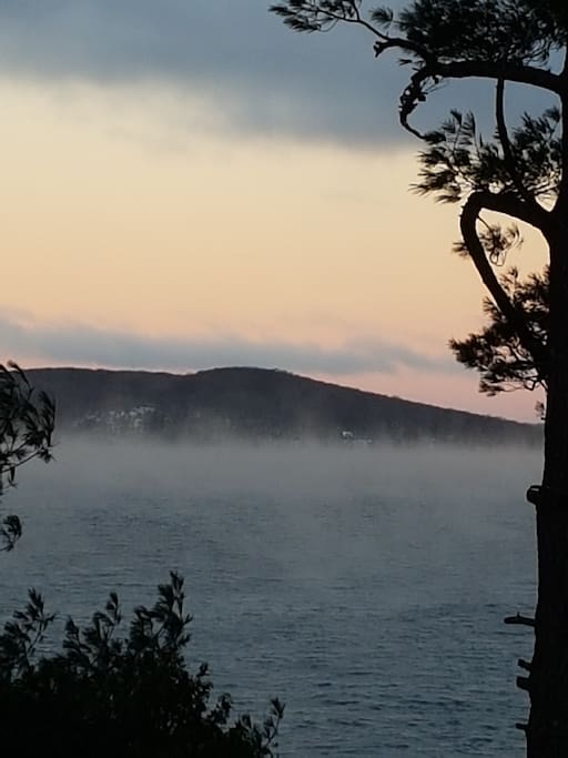 Early morning mist