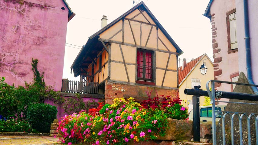 maison à colombage au coeur du vignoble