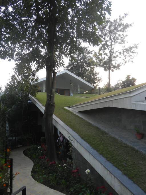 The first view - Top room overlooking a terrace garden