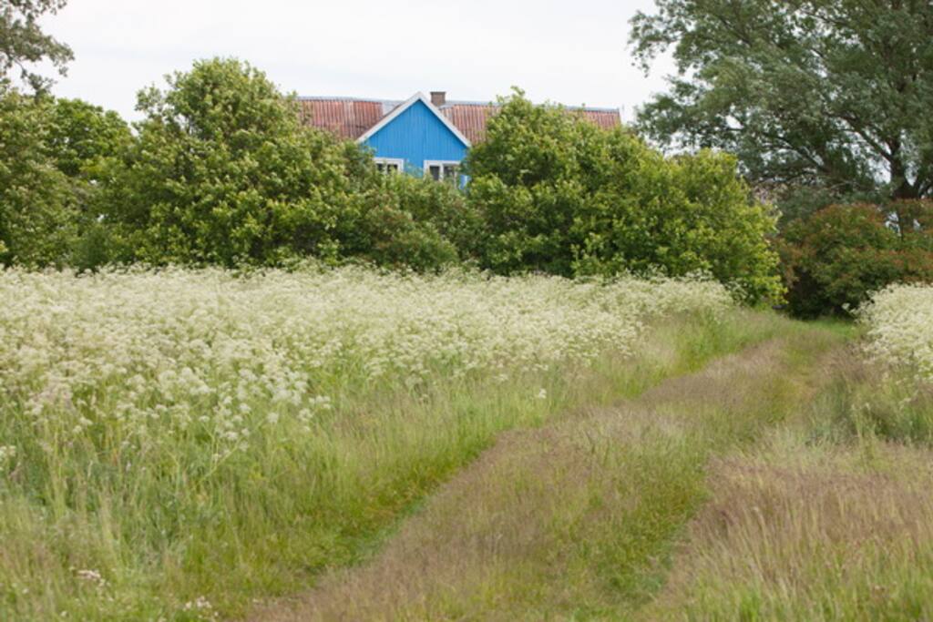 Weg zum Haus