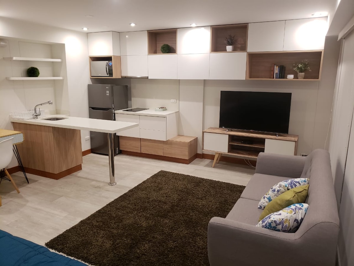 A modern living space features a compact kitchen with stainless steel appliances and warm wooden cabinetry. A gray sofa is positioned in front of a flat-screen television on a wooden stand. The area is complemented by a plush rug and green decorative plants.