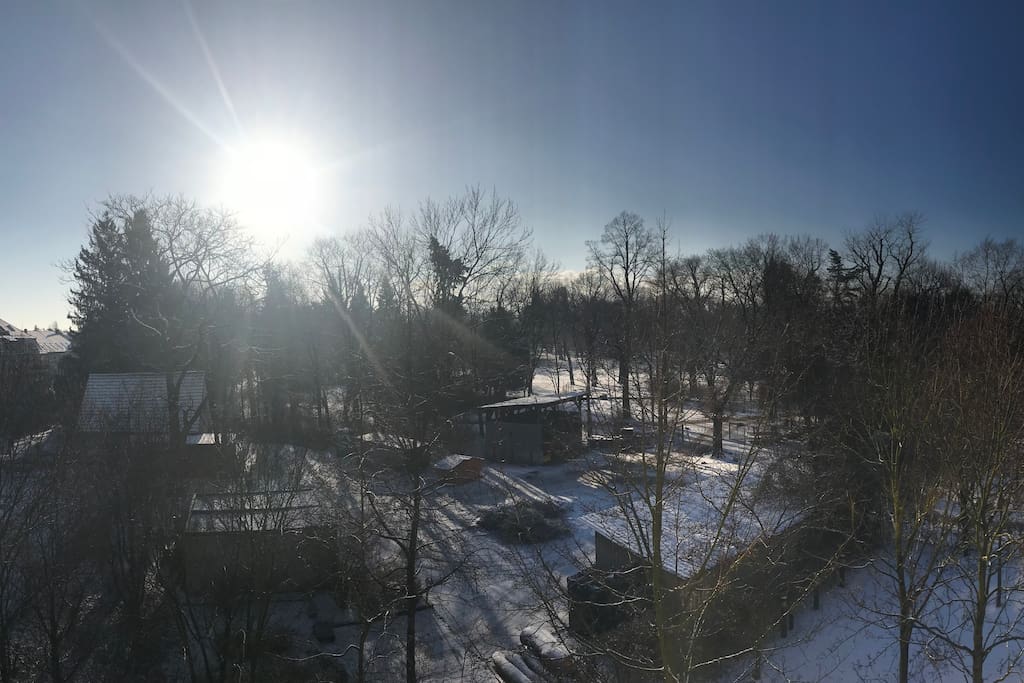 Winterwonderland February 2018