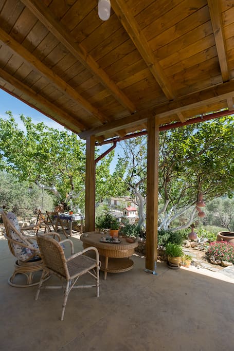 The yard at the east part of the house. The house is surrounded by nature and olive trees