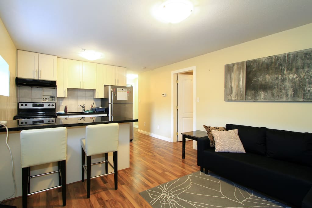 View when entering private basement suite