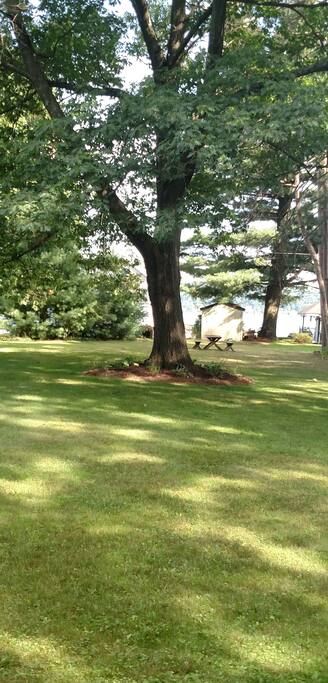 Park like setting with large lawn.