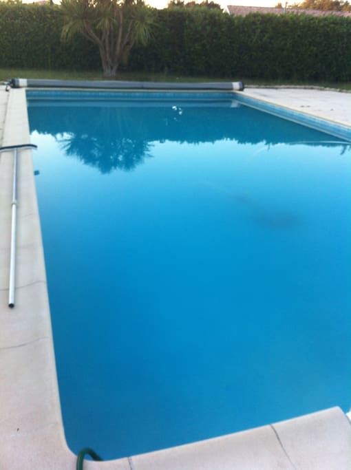 La piscine avec une grande terrasse( table et chaises disponibles ainsi que bains de soleil et la suite du jardin)