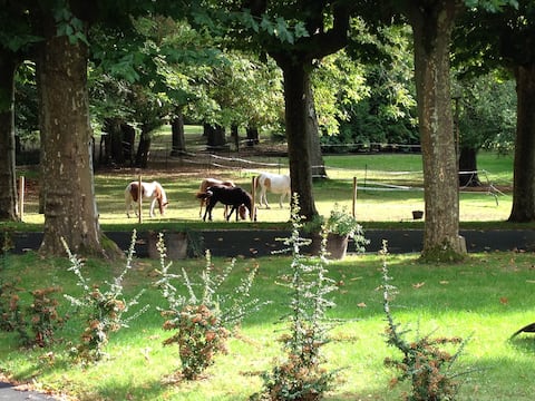 charming apartment in a beautiful park