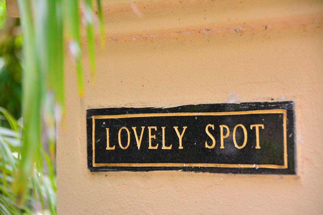A simple black plaque is mounted on a light-colored wall, displaying the words 'LOVELY SPOT' in gold lettering. Green foliage is visible in the foreground, creating a natural framing for the sign.